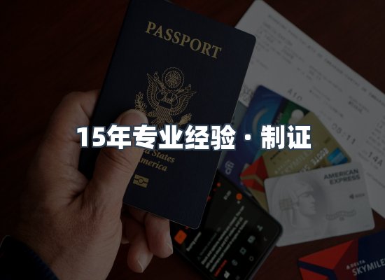 证件页面制证展示